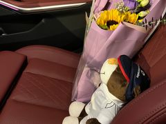 -天猫养车贴膜轻改·蓝电(优匹康桥东路店)