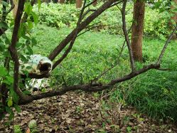 -巍阁高端月子会所