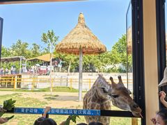 -西霞口神雕山野生动物世界