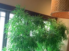 -洞庭土菜馆(天河北总店)
