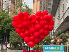 -北边的花店(泛悦城市广场店)