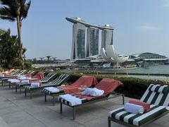 -新加坡文华东方酒店