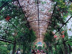 -The Grounds of Alexandria
