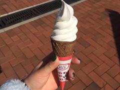 -富豪雪糕车流动点(尖沙咀店)