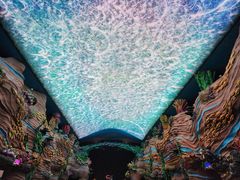 -珠海长隆海洋王国
