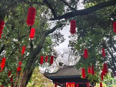 -国恩寺