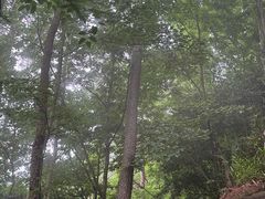 -溪口-滕头旅游景区