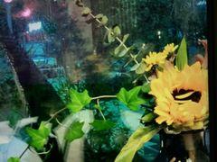 -拂晓山房·私房川菜(西门店)