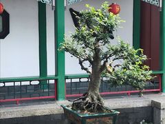 -珠海圆明新园
