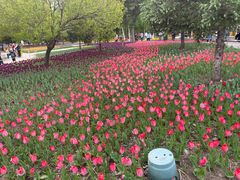 -长春公园(普阳街道)