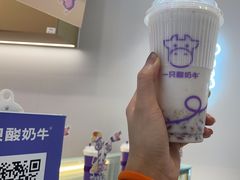 -一只酸奶牛(来福士店)