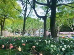 -上海鲜花港
