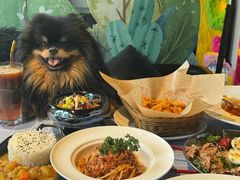 -百好乐宠物友好餐厅(朝外大街店)