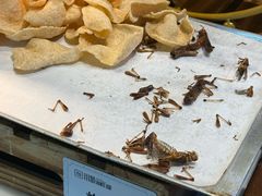 -川骄海鲜自助(亚运村店)
