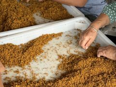 -苏州市吴中区光福窑上花果蜜饯厂