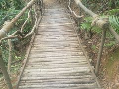 -广州市帽峰山景区