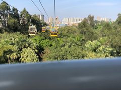 -广州长隆野生动物世界