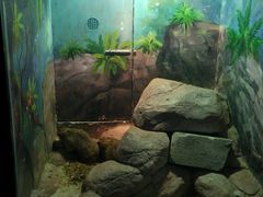 -福州罗源湾海洋世界旅游区