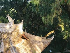 -七曲山风景区