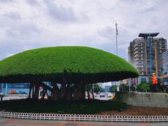-南宁南湖公园