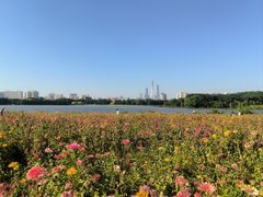 -海珠湖公园