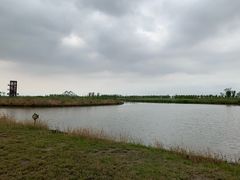 -春花秋色城市公园