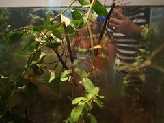 -上海昆虫博物馆