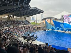 -上海海昌海洋公园