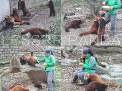 -野生动物园-停车场