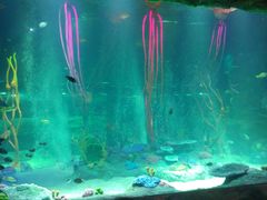 -沈阳海洋探索中心