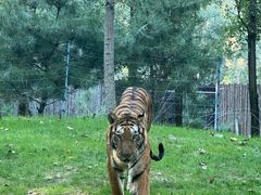 -北京野生动物园