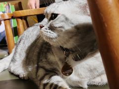 -H立方实景剧情密室(天河旗舰店)