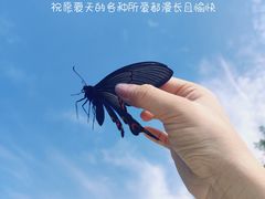 -浙北大峡谷
