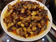 -志晖园圆子鸡·辣子鸡(阳光店)