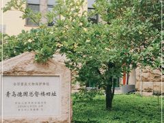-青岛德国总督楼旧址博物馆