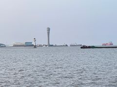 -上海滨江森林公园
