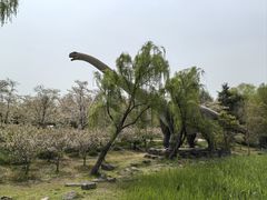 -自然谷恐龙园