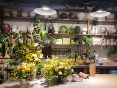 -自由生长植物工作室(深港花卉中心店)