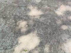 -洪林丹棱碗碗羊肉馆(白云街店)