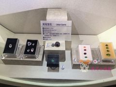 -安徽省地质博物馆