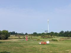 -泰生小镇旅游景区