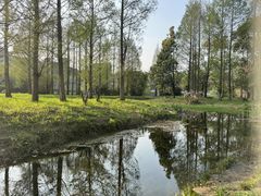-贵阳市花溪国家城市湿地公园