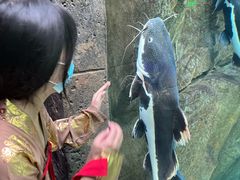 -哈尔滨波塞冬海底世界