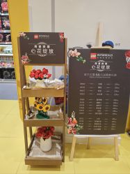 -乐高授权专卖店(南开大悦城店)