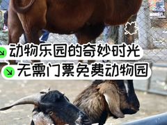 -长白岛森林公园