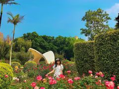 -人民公园(罗湖区)