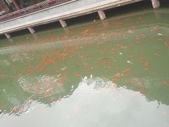 -龙潭水乡