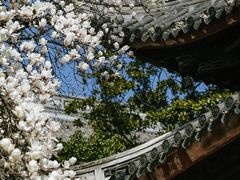 -龙华寺