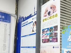 -芭比堂动物医院(广州爱宠下渡路分院)