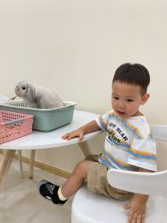 -Moni星球萌宠·小马宝莉·灵蛇·高端高阶全萌宠互动体验俱乐部(红豆国际广场店)